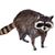 Candace Hill's profile image