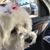 Maggie Spriggs's profile image