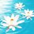 Carol Ann Blooding's profile image