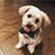 Matthew Dubin's profile image