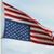 Ellen Newcomb's profile image