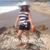 Sandra Jamison's profile image