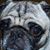 Sharon Prezz's profile image