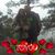 Katie Earleen's profile image