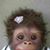 Linda Nickelson's profile image