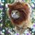 Luz E Correa's profile image