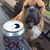 Doug Ertl's profile image