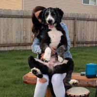 Roxanne Mohs's profile image