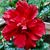Leta Hughes's profile image