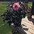 Tracy Steinman Pieske's profile image
