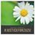 Mary Jane Arndt's profile image