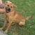 Heather Cannady's profile image