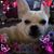 Deborah Britton-Gray's profile image