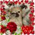Jenn Watkins's profile image