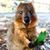 Carol McKee's profile image