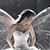 Gina Mikos Littlejohn's profile image