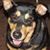 Heather Joan's profile image