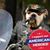 David Camargo's profile image