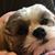 Ellen Mitchell's profile image
