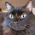 Lori Lawson's profile image