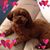 Vicki Pease's profile image