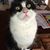 Freda Horner's profile image