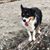 Jennifer Grentz's profile image