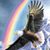 Gloria Messer's profile image