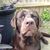 Gary Blindert's profile image