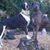 Sandy McMillan's profile image