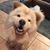 Stephanie Gerard Smyrski's profile image