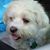 Cheryl Frederickson's profile image