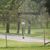 Marilyn Middendorf's profile image