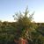 Jose Garcia's profile image