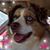 Angie Hayes's profile image