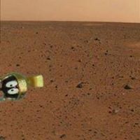 Marc Jennings's profile image