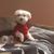 Rocco Naddeo's profile image