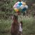 Niilla Milla's profile image