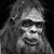 Justin B Smith's profile image