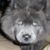 Jim Brown's profile image