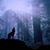 Manuel Antonio Juarez's profile image