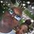 Michael Johnson's profile image
