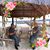 David Braga-Paredes's profile image