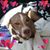 Laura Skelton Pelkey's profile image
