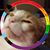 Bridget Sproul's profile image