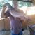 Mike Whitaker's profile image