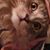 Wendy Mork's profile image