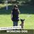 Dawn Skura's profile image
