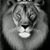 Bella M Velasquez's profile image