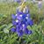Najihah Alkaff's profile image